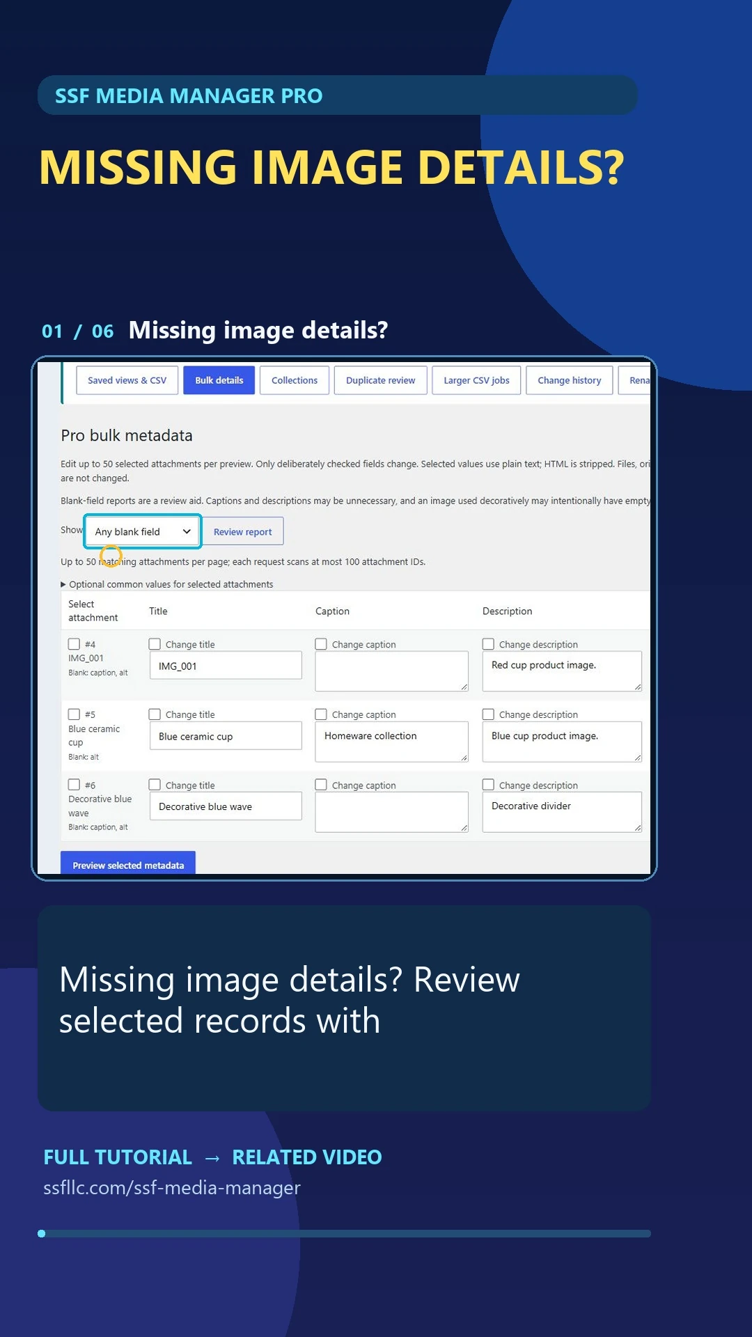 SSF Media Manager Pro Short cover for bulk attachment details.