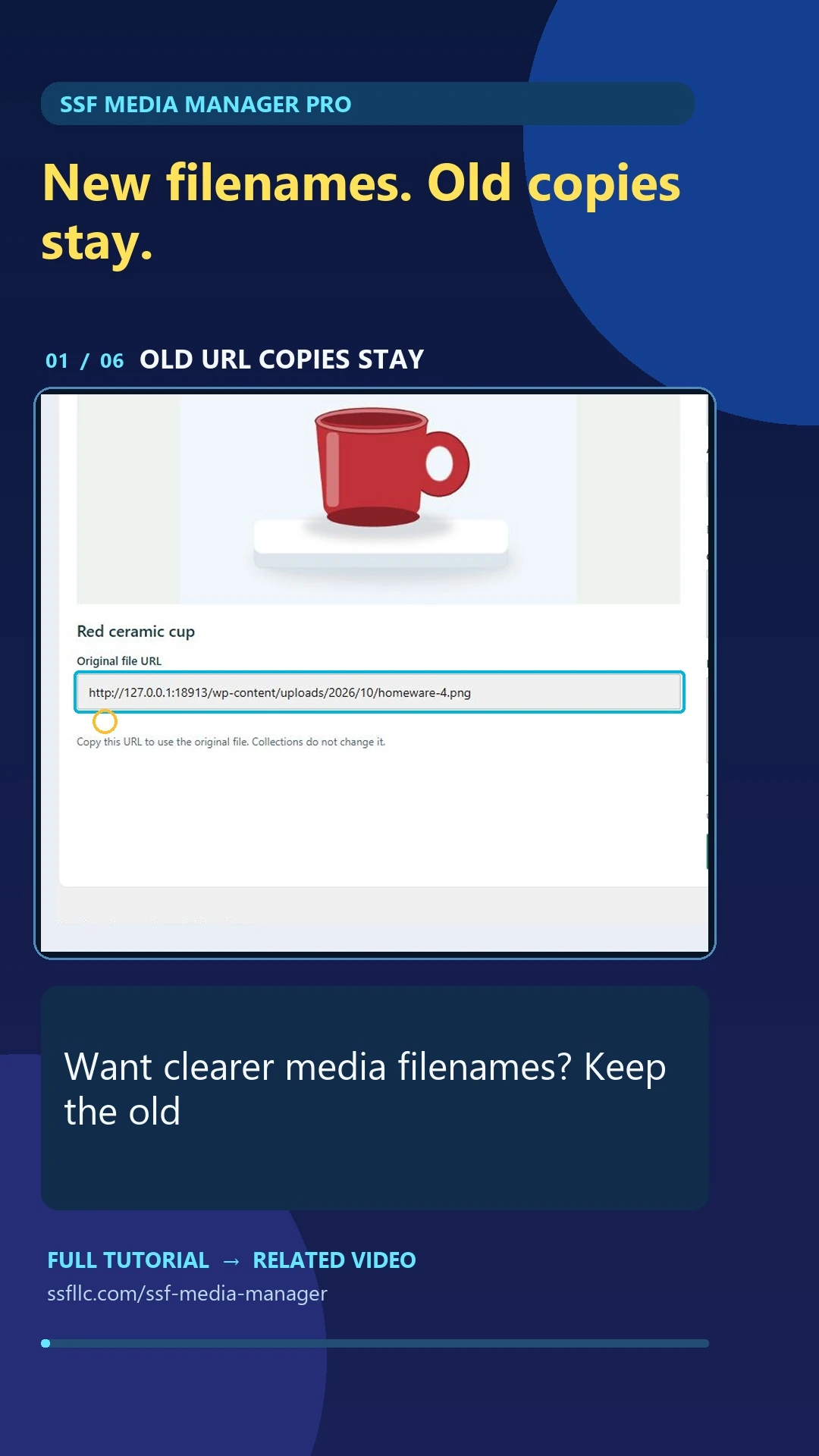 SSF Media Manager Pro Short cover for file renaming with old url copies.